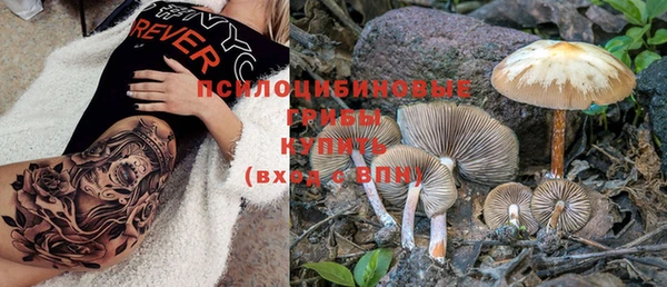 тгк Кинешма
