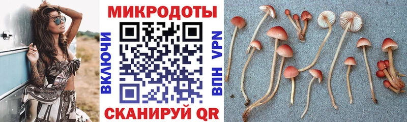 Псилоцибиновые грибы мицелий  Купить закладки  Кандалакша 