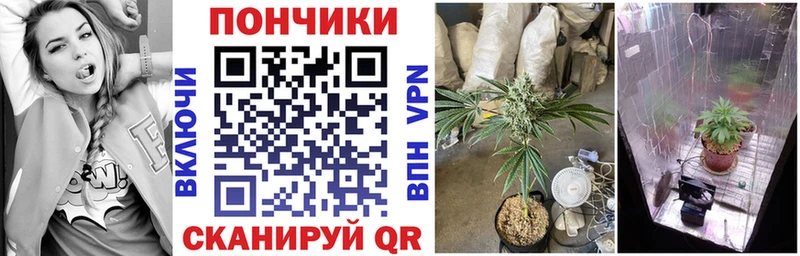 Купить закладки  Кандалакша  Конопля планчик 